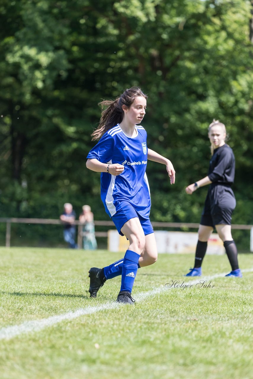 Bild 52 - wBJ VfL Pinneberg - Harksheide : Ergebnis: 2:1